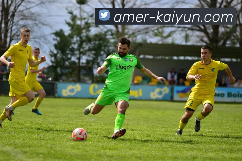 开云app服务体系